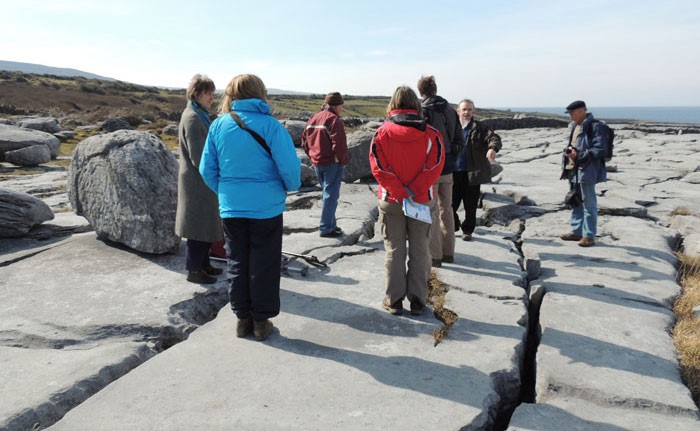 Burren Geopark limestone pavement